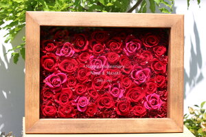 vU[uht[{bNX NX^[Y  v|[Y o vU[uht[ Mtg a v[g  LO LO  ޏ  uU[ht[  