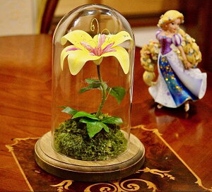 vcF @̉ OƃbZ[W fBYj[v|[Y vcF av[g LOv[g LO  ޏ   t[ j jv[