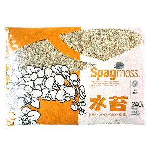 ���� �j���[�W�[�����h�Y AAA �v���~�A�� �n�C�O���[�h premium ���k �Ӓ��� �r�J�N�V�_ �R�E�������� Spagmoss �C���A�E�g�h�A