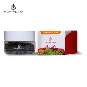 h{ APT JAZZ 54JvZ Ō`엿 \C p yTHE 2HR AQUARISTz ANAE  lC  e