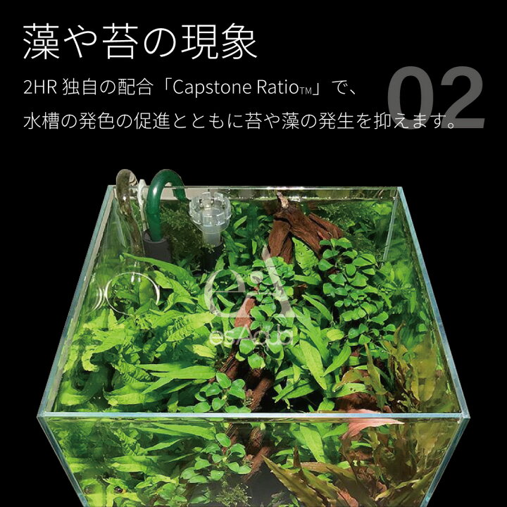 楽天市場 Esaqua 水槽 液体栄養剤 300ml 水草 肥料 栄養剤 液体肥料 ゼロ Zero アクアリウム 水槽 液肥 アーチリテイルズ 楽天市場店