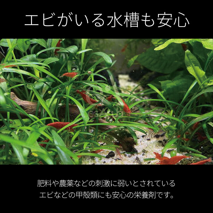 楽天市場 Esaqua 水槽 液体栄養剤 500ml 水草 肥料 栄養剤 液体肥料 ゼロ Zero アクアリウム 水槽 液肥 アーチリテイルズ 楽天市場店