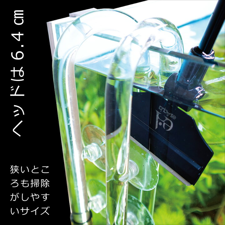 楽天市場 Esaqua 水槽 スクレーパー クリーナー 苔取り コケ 掃除 新改良 安心エッジ加工 可動式 替え刃 10枚付き アクアリウム コケ防止 ガラス水槽 メンテナンス ツール アーチリテイルズ 楽天市場店 楽天市場 Esaqua 水槽 スクレーパー クリーナー 苔取り コケ 掃除 新改良 安心エッジ加工 可動式 替え刃 10枚付き アクアリウム コケ防止 ガラス水槽 メンテナンス ツール アーチリテイルズ 楽天市場店