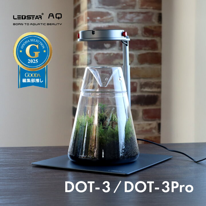 LEDSTAR DOT III Pro над компактной растительной композицией
