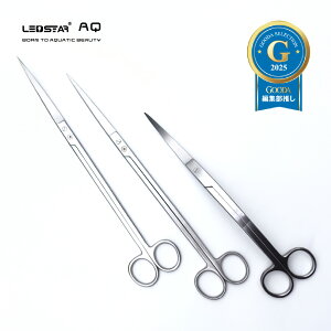 LEDSTAR  g~O nT~ ANAE eE eiX  I[XeX vdl c[ Tony