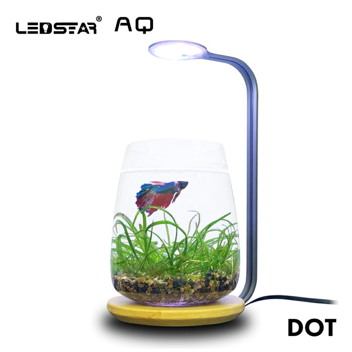 楽天市場】LEDSTAR 水槽 ライト モデルDOT 【 RGBW コンパクトライト 