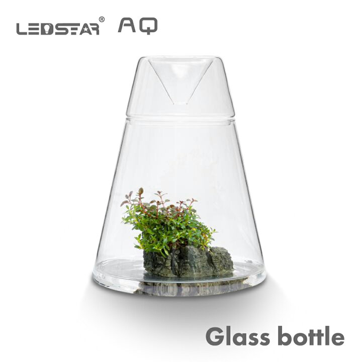 楽天市場】LEDSTAR ガラスポット アクアリウム 蓋付 DOT コケリウム 