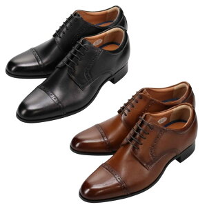 BEE CLASSIC r[NVbN CB8502 X^CAbvV[Y Y vC yneshz yViz