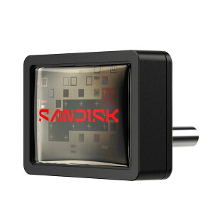 SanDisk �T���f�B�X�N USB������ 1TB USB-C Extreme Fit �����^ R:400MB/s USB3.2 Gen1 Type-C SDCZ530-1T00-G46