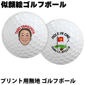 ゴルフボール 名入れ 似顔絵 ギフト プレゼント ホールインワン エージシュート 記念品 ゴルフ 【 無地 プリントゴルフボール 】オウンネーム 1スリーブ ラッピング対応 のし可 似顔絵タッチ2種 アルバトロス エイジシュート 記念 ボール