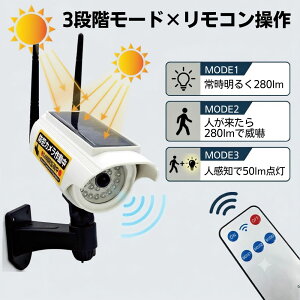 �Z���T�[ ���C�g ���O �\�[���[ �l�� �h�� �_�~�[ �J���� �h�� �^ 2�� �Z�b�g �[�d �p �Ď� �� �΍� ���� ���ԏ� �K���[�W �� �x�����_ �q�� �X�� �z���C�g �� Dummy Camera Fake Security Solar Sensor Light 