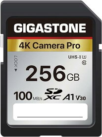 Gigastone SDカード 256GB メモリーカード A1 V30 U3 Class 10 SDXC 高速 4K UHD & Full HD ビデオ Canon Nikon など デジタルカメラ 一眼レフ対応 ミニケース1個付き