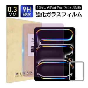 13C`iPad ProiM4j u[CgJbg KXtB iPad ProiM4j tیKXtB ACpbh v GtH[ ʕی십KXV[ Apple ^ubgp iPad XN[