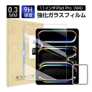 11C`iPad ProiM4j KXtB iPad ProiM4j tیKXtB ACpbh v GtH[ ʕی십KXV[ Apple ^ubgp iPad XN[یV[g h~ 