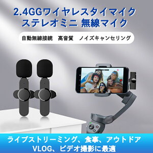 _ʌI1000~I ^CX}CN RfT[}CN s}CN iPhone iPad type-c XeI~j }CN ^Cu zM c  Sw}CN