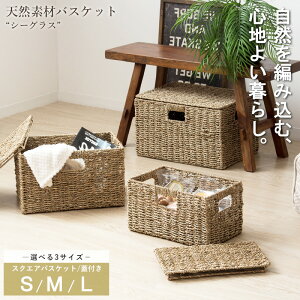 VRf oXPbg V[OX Pi S/M/L 3_Zbg XNGA ӂtJ[{bNX [  W pi gC [{bNX [ 󂩂 Lb` h[ rO 