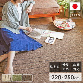 ラグ ラグマット 洗えるラグ 日本製 220×250cm 3畳 北欧 おしゃれ 長方形 防ダニ ホットカーペット対応 床暖房対応 滑り止め付き ウォッシャブル カーペット 絨毯 マット リビング ベージュ グリーン ブラウン arco