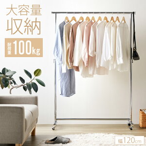 nK[bN X  ȃXy[X 120 Lk\ LX^[t Vv  ω׏d100kg Ɩp Ȃ ߗރnK[ m| ߗގ[ R[gnK[ e gȒP V