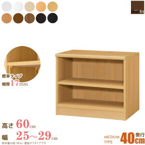 [P10{] {I I[_[ I TCYI[_[ (I W^Cv^s40cm ~fBAfB[v^Cv^25`29cmI[_[^60cm)I[_[{I [I I[vbN t[bN G{I  