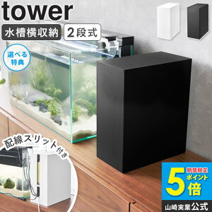 [ [{bNX ^[ tower R ]ANAEpi [{bNX  P[u[ zJo[  Mы ybgObY CeA  zCg ubN 1891 1892 