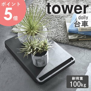  ^[  LX^[t y R h[[ RpNg ~j u ω׏d100kg u z[L[ ^ ړ ϗtA [ N[[bg rO  k