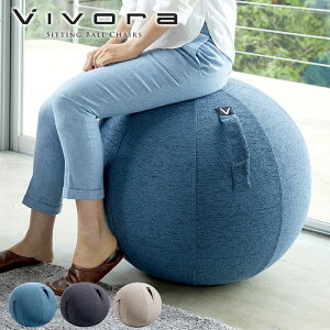 oX{[ vivora r{ 65cm RƃK{[ ω׏d 120kg Ct K ؃g g ̊ g[jO p   ֎q ֎q Ȃ tBbglX GNTTCY t@u