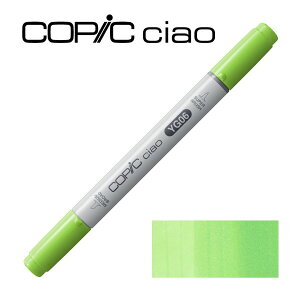 �R�s�b�N�`���I YG06 �C�G���E�B�b�V���E�O���[��