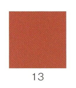 iJKӕG V@I 20g 13 ɍז i05610