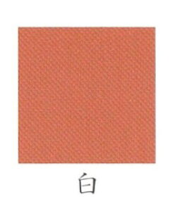 iJKӕG V@I 15g  ɍז i05610