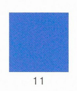 iJKӕG VR@Q 100g 11 ז i07310