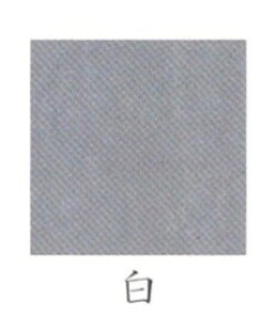 iJKӕG VR@nF 15g  ɍז i07620