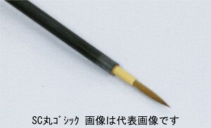 听 SCۃSVbNɏ (81373001) fUCM