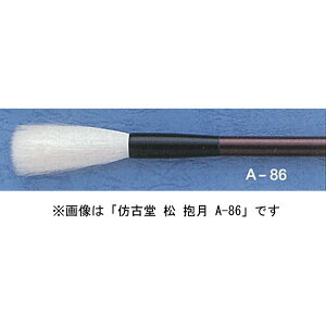 قÓ A-85   ip r Ve͂ 擧