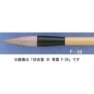 قÓ F-29 _  `𕝗p ńinсErсj