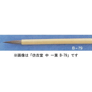 قÓ B-79  t ʑn C^`