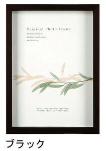 A[g{bNXt[(35mm) ubN B4TCY (257×364mm) APJ A[gvgWp