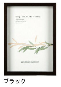 A[g{bNXt[(35mm) ubN 30pTCY (300×300mm) APJ A[gvgWp