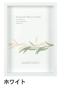 A[g{bNXt[(35mm) zCg C`TCY (203×255mm) APJ A[gvgWp