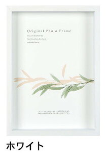 A[g{bNXt[(35mm) zCg FTCY (245×275mm) APJ A[gvgWp