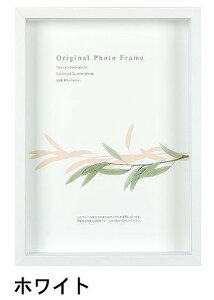 A[g{bNXt[(35mm) zCg B4TCY (257×364mm) APJ A[gvgWp