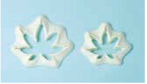 566 ݂t^E (TH  A\VGCc)