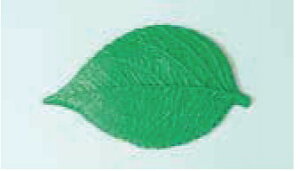 731 t^AAWTC (TH  A\VGCc)