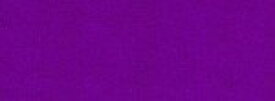 ターナー色彩 ネオカラー （600ml） 52:赤紫 (C)