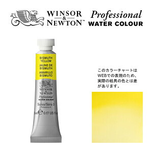 W&N PWC 5ml チューブ 025 ビスマスイエロー Winsor&Newton プロフェッショナル・ウォーターカラー 最高級透明水彩