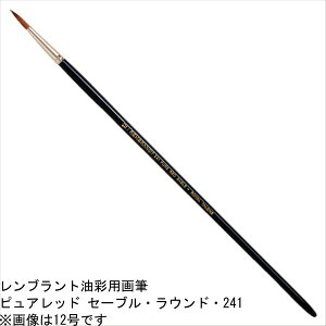 ugʉM 241isAbhZ[uEEhj 12@T909-241-12
