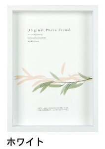 A[g{bNXt[(35mm) zCg B5TCY (182×257mm) APJ A[gvgWp