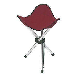 �z���x�C�� �X�P�b�`�֎q No.9 (�A���~�O�r) 182153