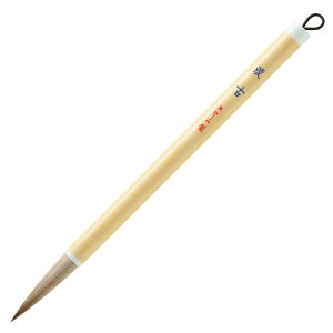   PL-154 pM E/Es