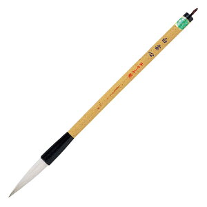  _S PL-205 pM E/Es