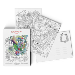 J _bV 0454-801 RA[W tHXg hG|XgJ[h 687322